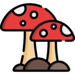 mushroom icon