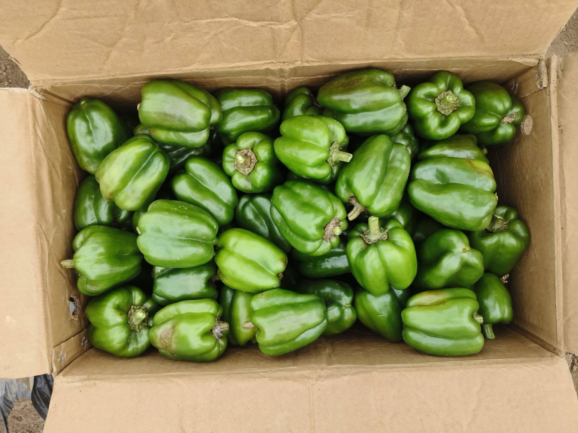 .trashed 1752639815 img 20250411 170804